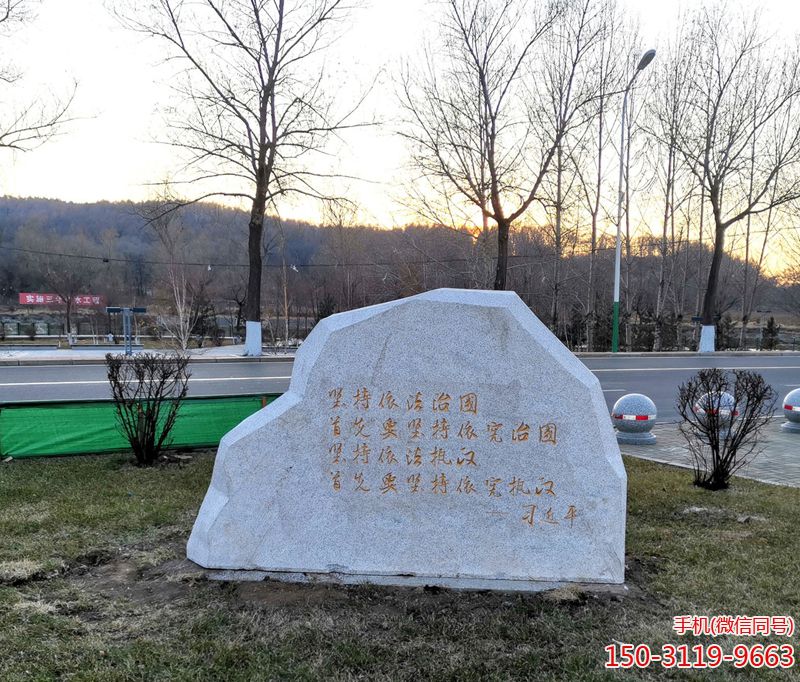 堅(jiān)持依法治國(guó)首先要以憲制國(guó) 堅(jiān)持依法治國(guó)首先要以憲制國(guó)